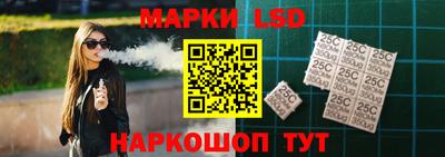 гидра Гатчина