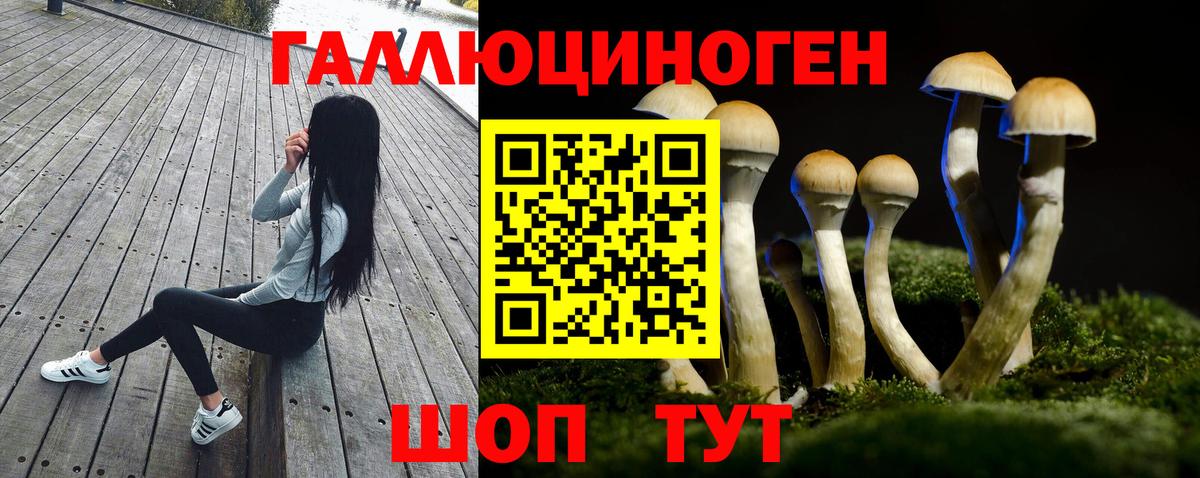 Псилоцибиновые грибы Psilocybe  Вход с VPN  закладки  Куйбышев 