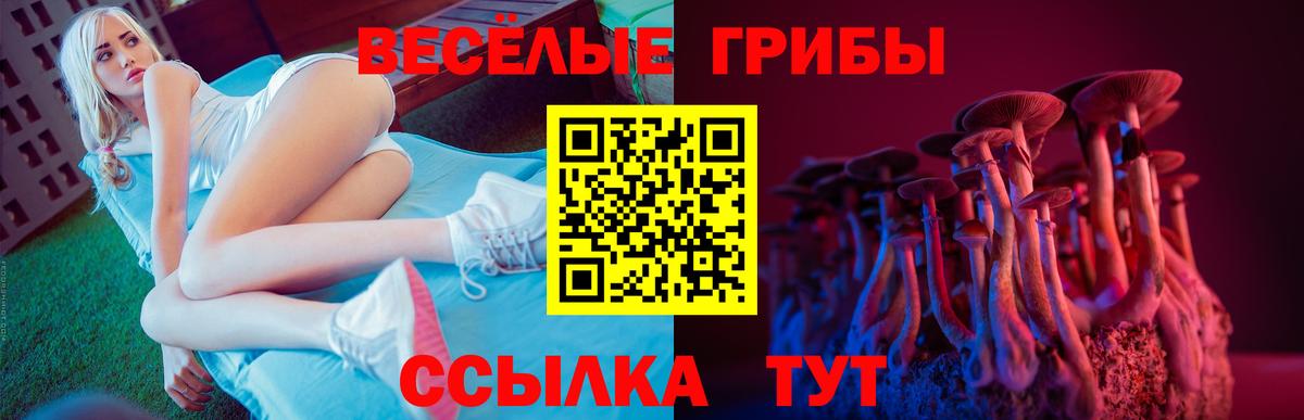 Псилоцибиновые грибы Cubensis Куйбышев